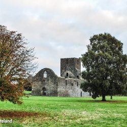 Picture of Augustinian Friary at Callan Co. Kilkenny